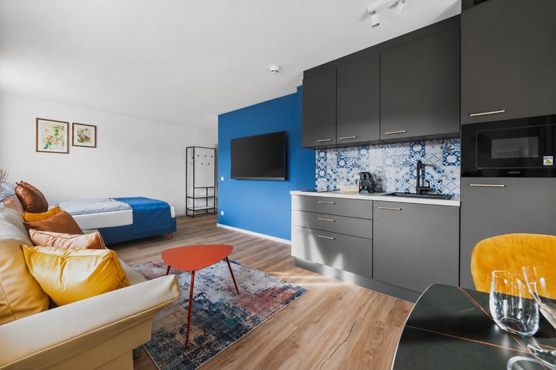 Top 7: studio with sofa, bed, a TV on a blue wall and a kitchen with a patterned tile splashback
